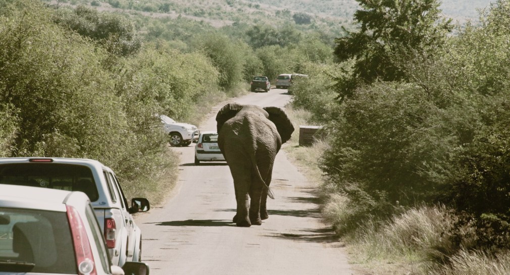 Lonely 孤独 - Poetry by 蓝铃 ランリン Ranvling.com